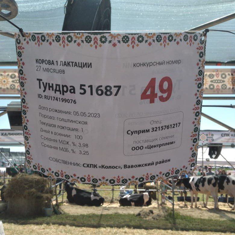 ЦЕНТРПЛЕМ на Молочном форуме в Новгороде