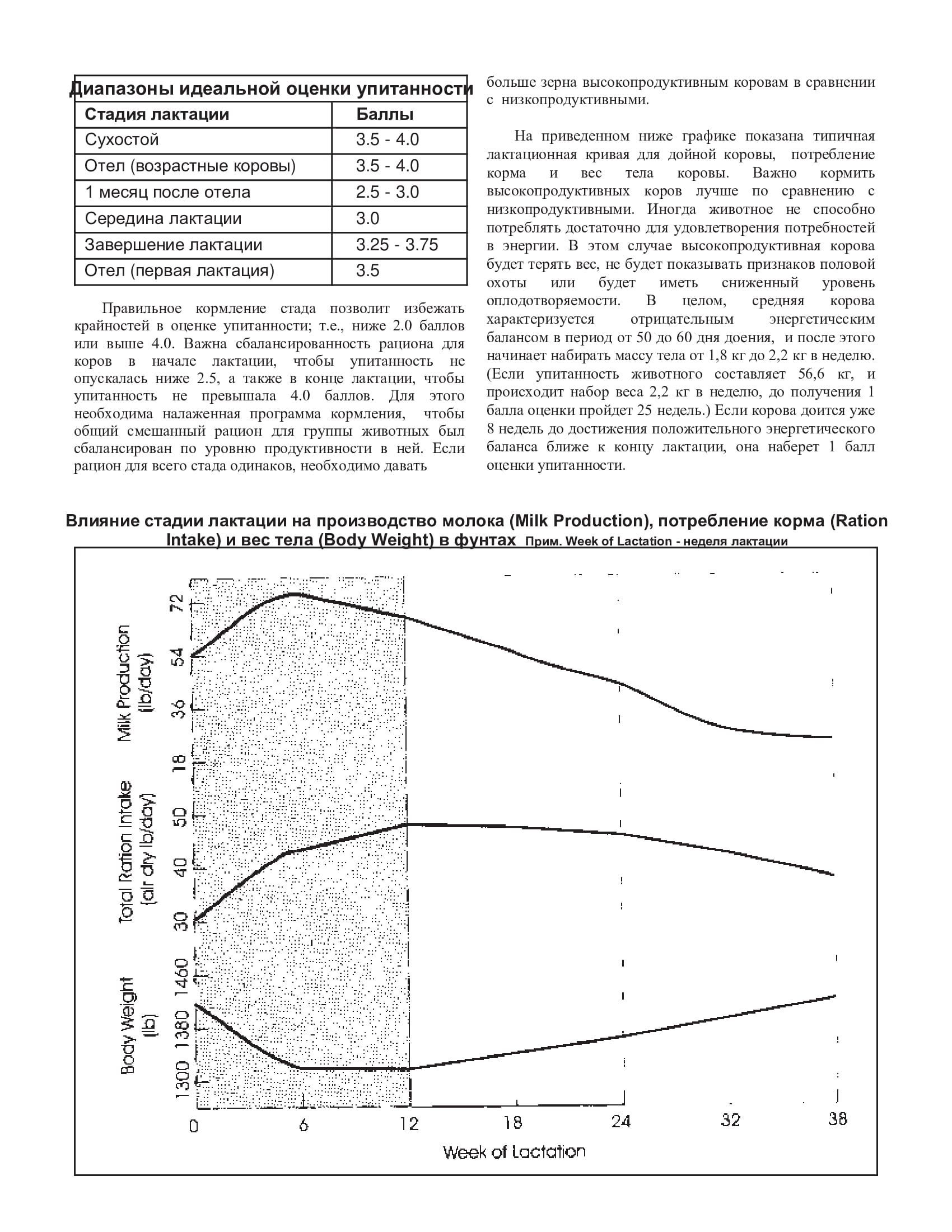 Упитанность молочного скота