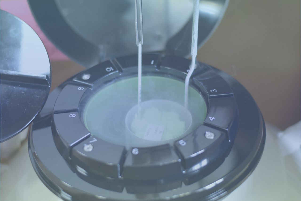 Рекомендации по размораживанию семени компании SEMEX