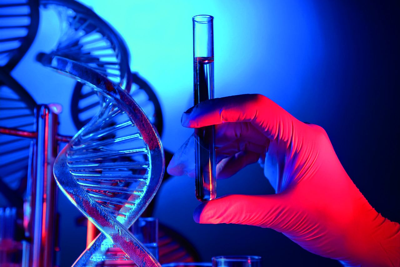 Геном, стратегия и мировые лидеры: как индексы, племенной учет и международное сотрудничество формируют будущее молочного животноводства