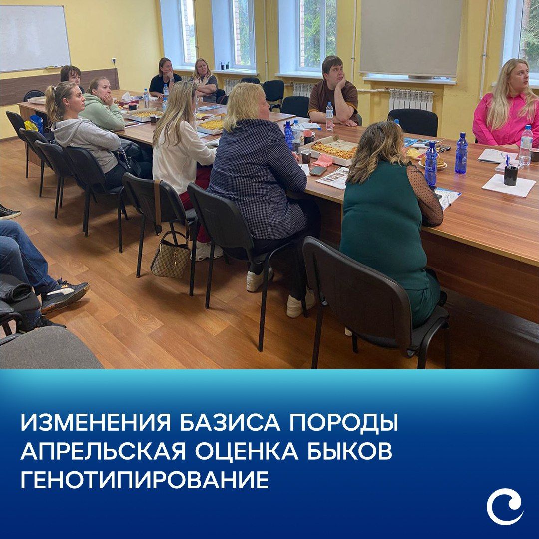 Современные подходы в селекции КРС