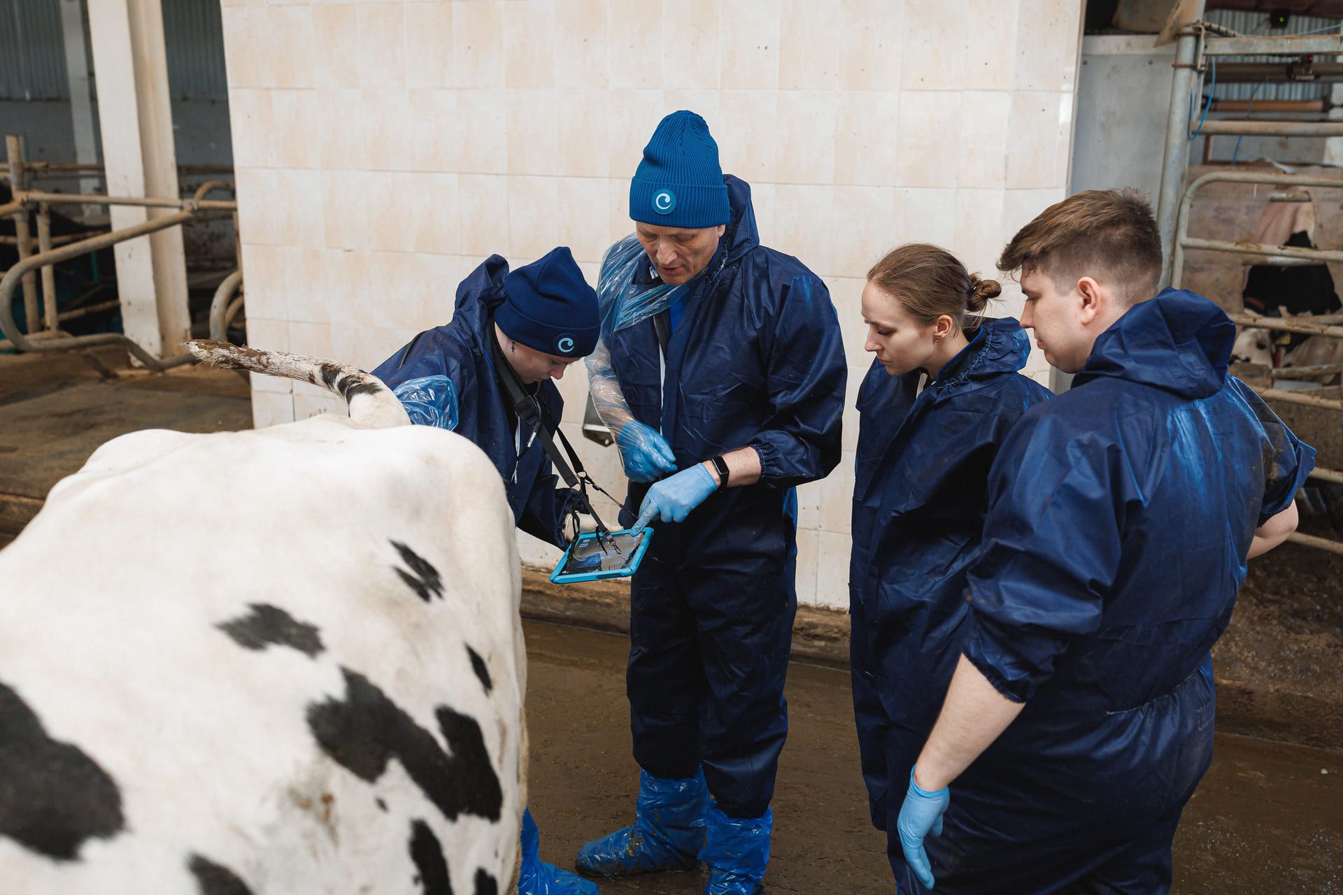 Поздравляем выпускников курса «Воспроизводство»