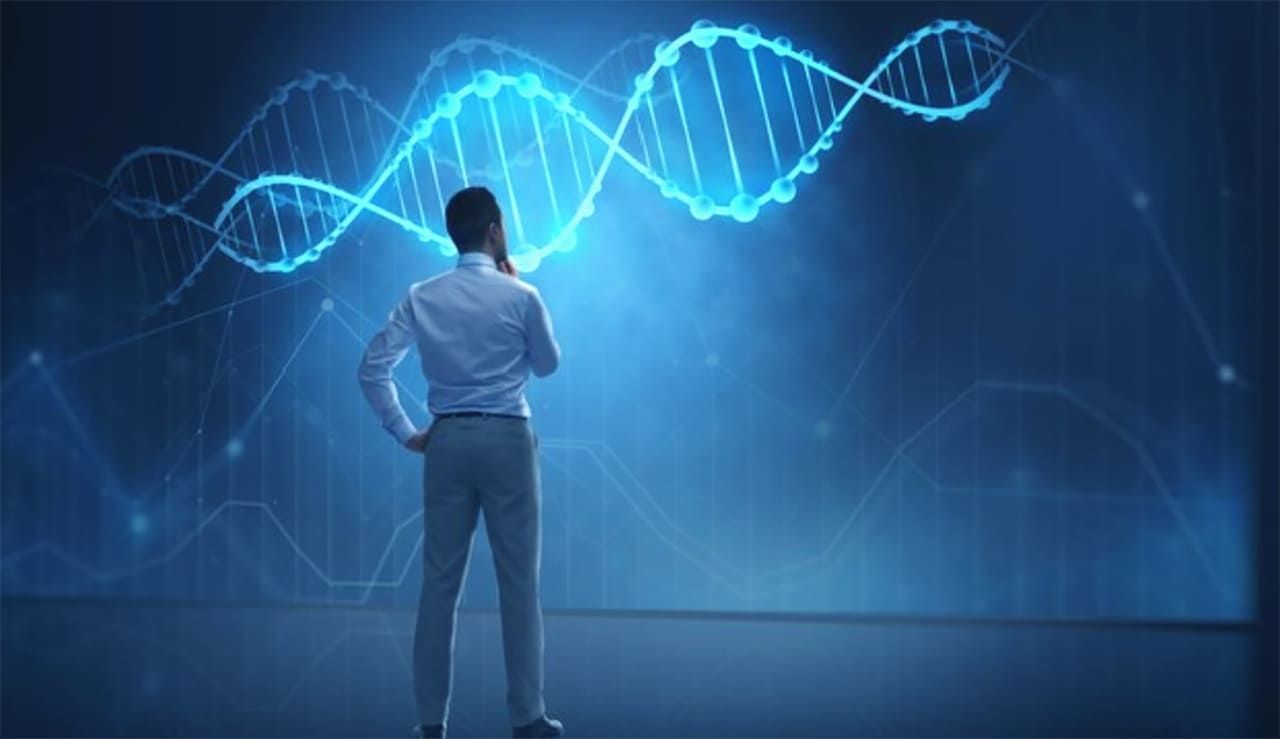 Генетика как бизнес-инструмент: как правильно выбрать быка для стада