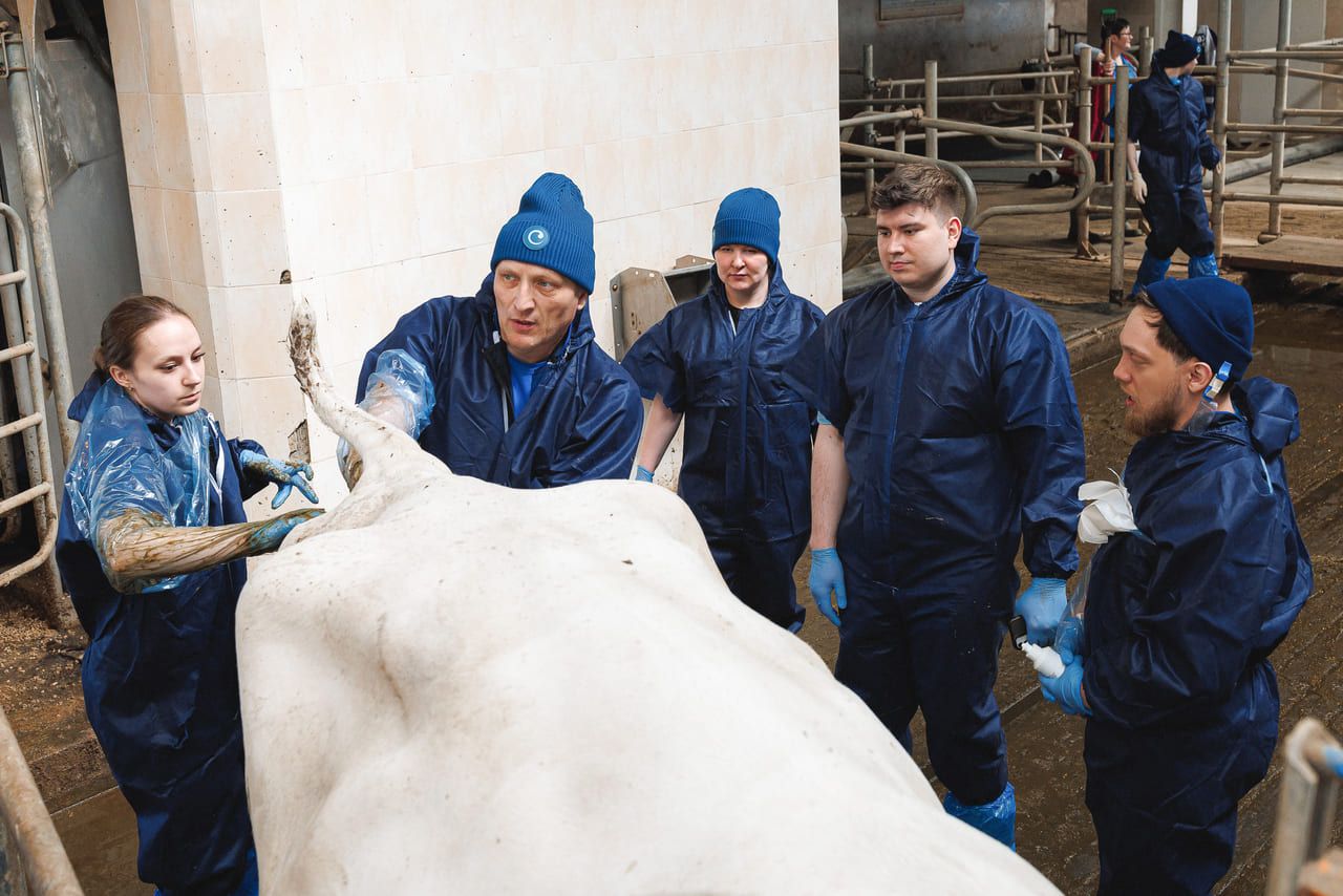 Фотоотчет курса