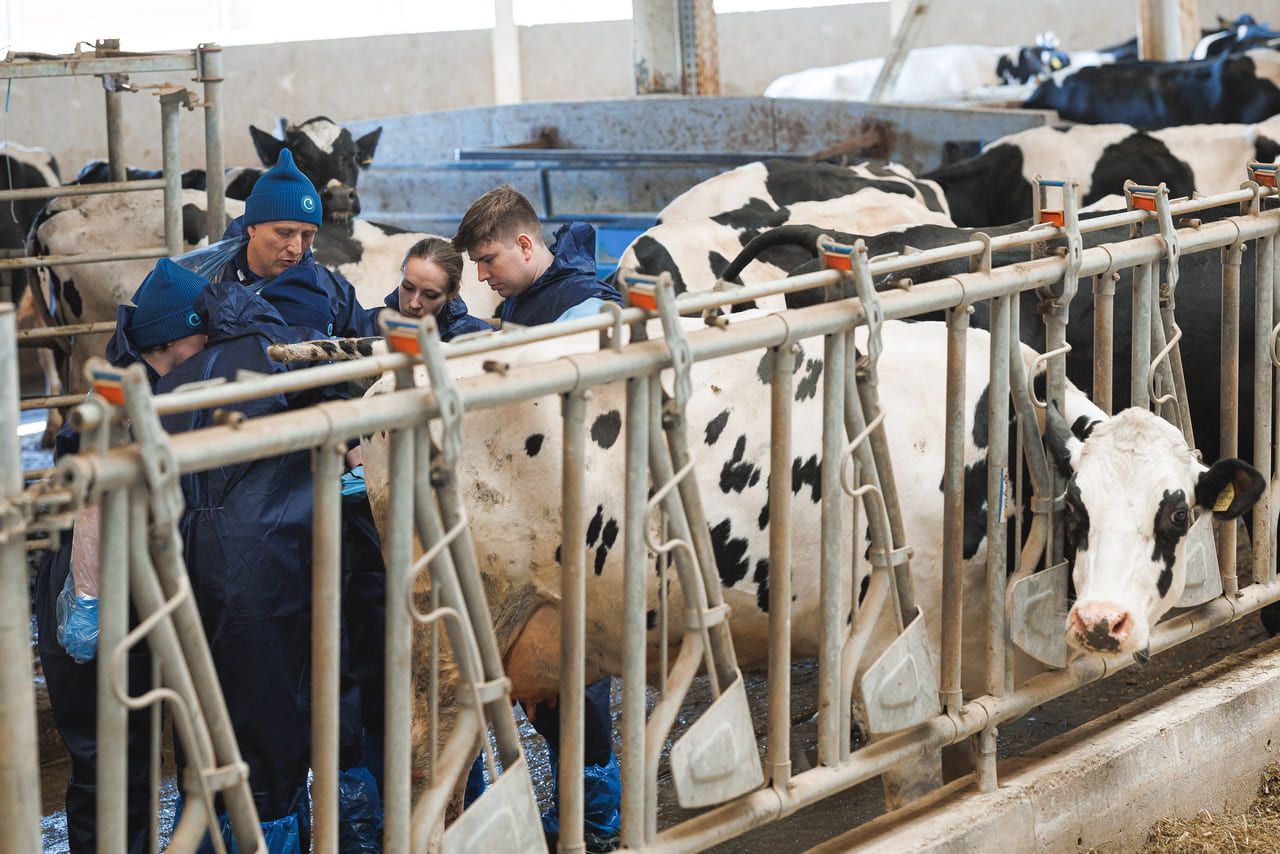 Фотоотчет курса